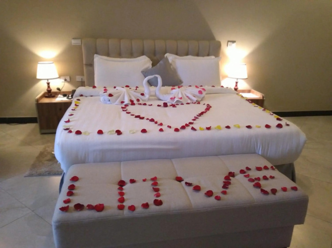 Daisy Hotel