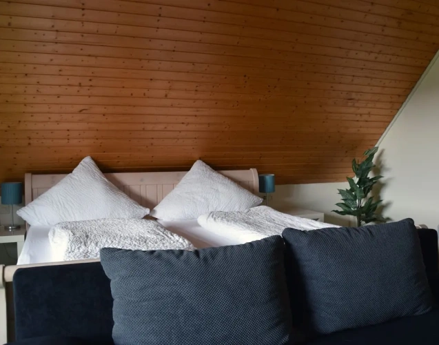 Standard Family room with balcony and with lake view