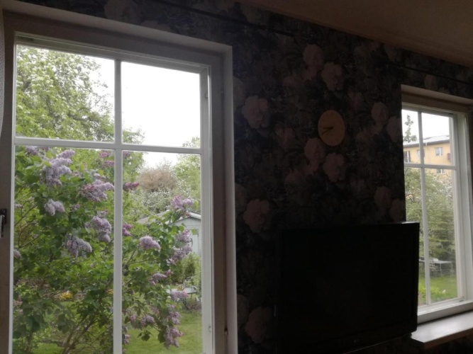 Apartment with garden view