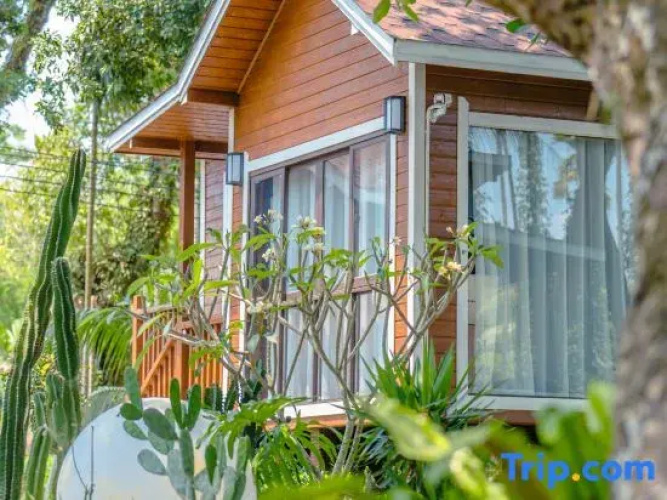 The Forest B&Bs