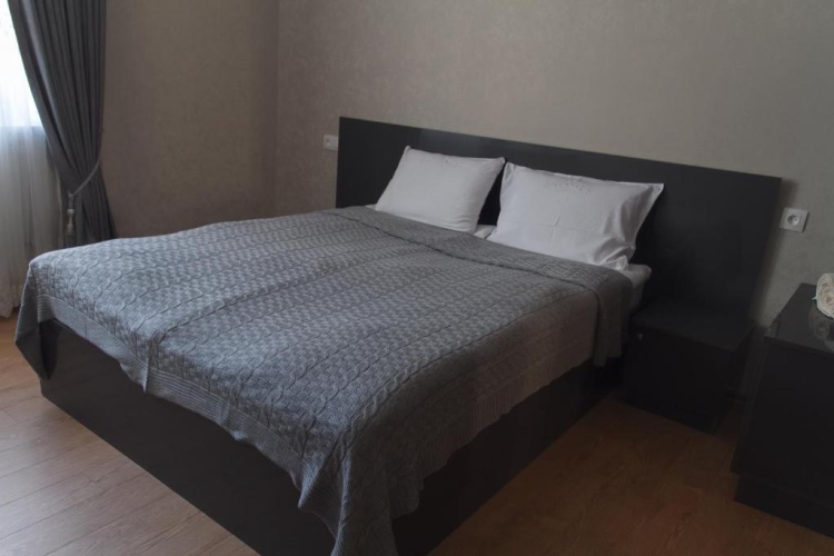Standard Double room with garden view