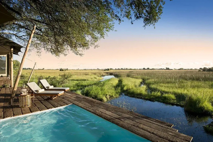 Duba Plains Camp