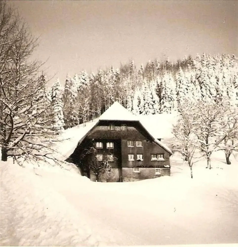 Ferienwohnung Titisee