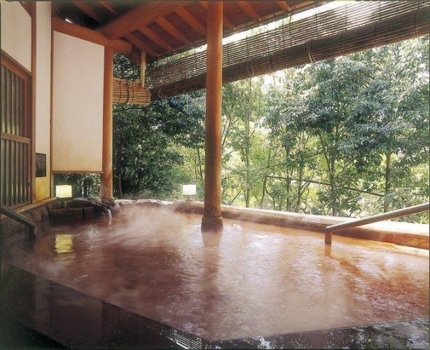 Standard Twin room with river view