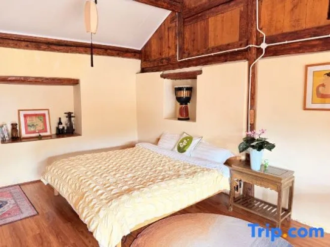 Standard Double room with mountain view