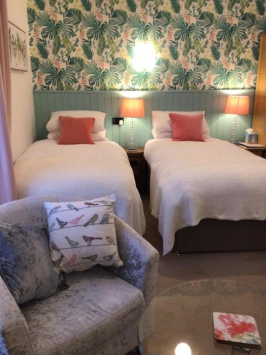 Deluxe Twin room
