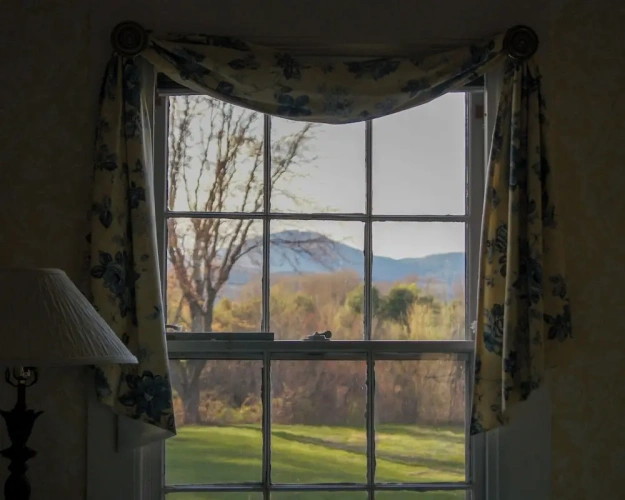 Standard Double room with mountain view
