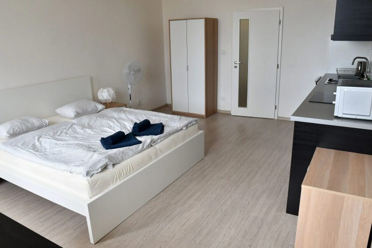 Apartments Mitte