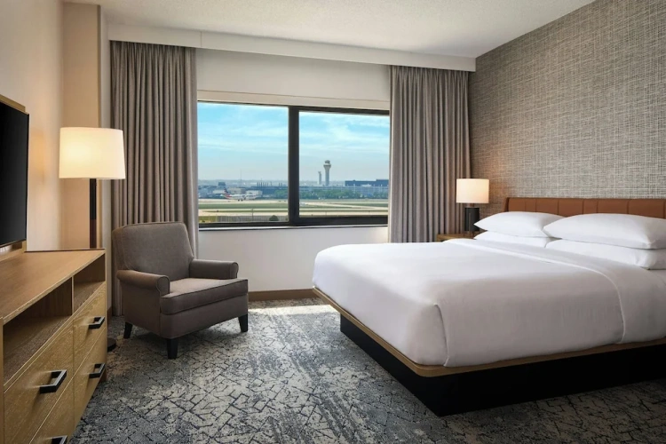 1 Bedroom Executive Suite