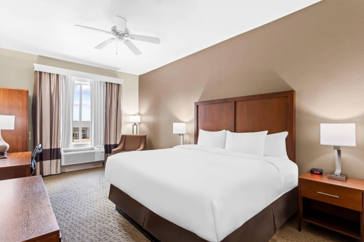 Standard Double room