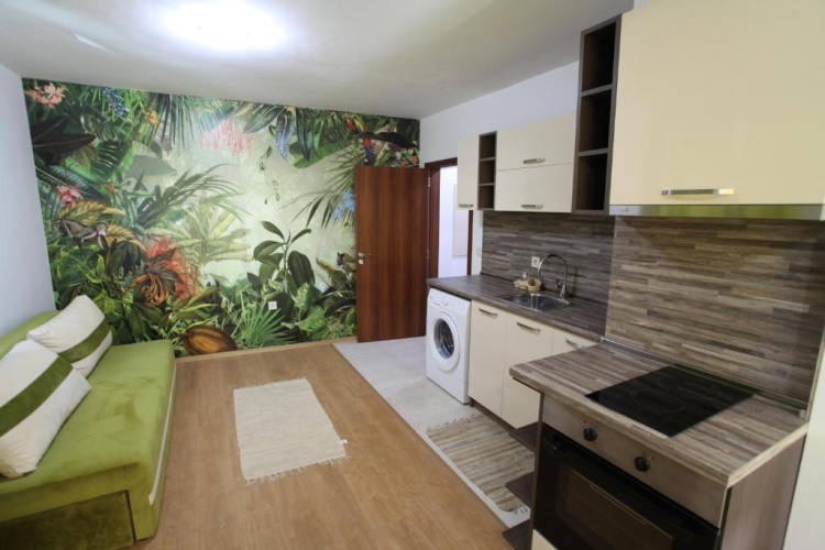 1 Bedroom Apartment