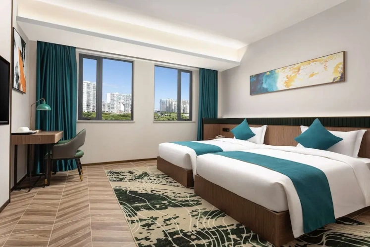Deluxe Twin room with city view