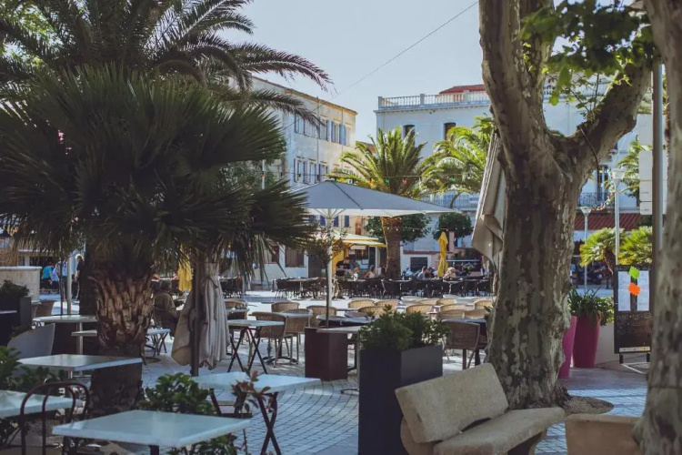 Regina's Banyuls - Top view