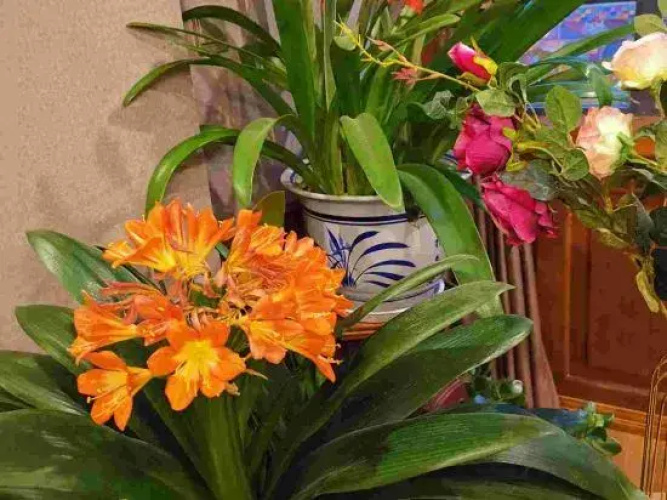 Yunluwu Boutique Hostel