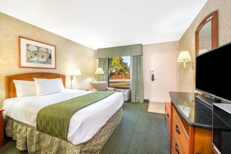 1 Bedroom Double Suite