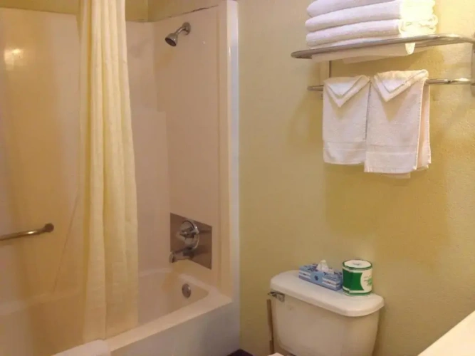 1 Bedroom Suite