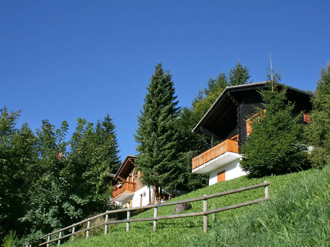Chalet 1005