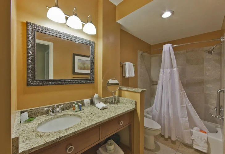 1 Bedroom Deluxe Suite
