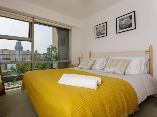 Deluxe Apartment