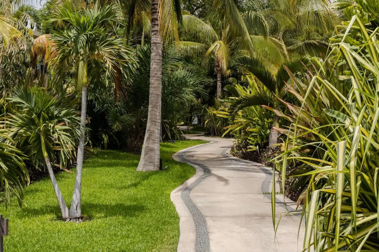 Soul Spring Sanctuary Cuernavaca