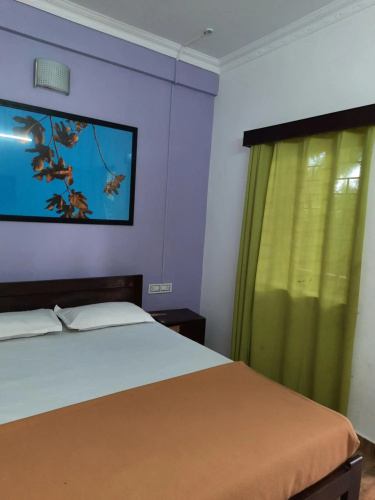 Cherry blossom guest house
