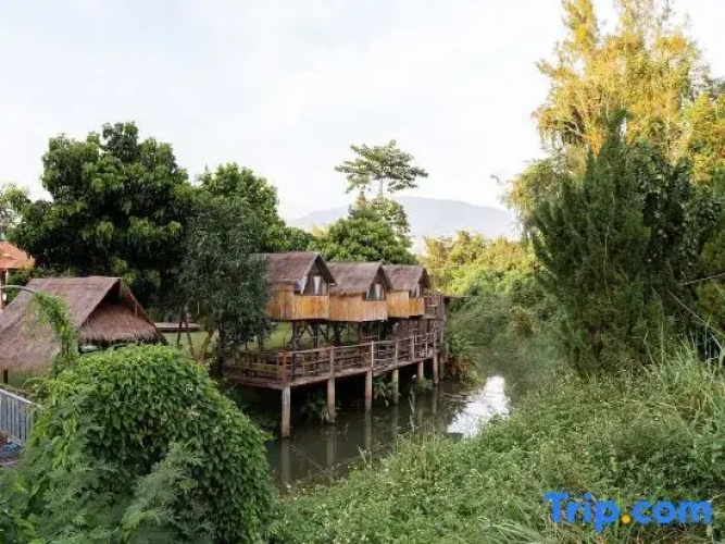 Lion Cafe Resort - Chiang Mai