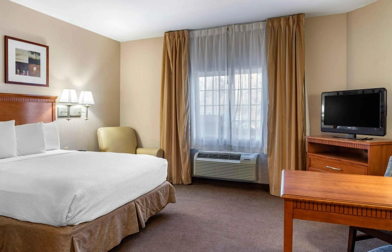 1 Bedroom Double Suite