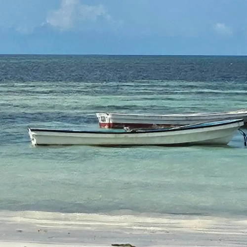 1 Bedroom Bungalow with ocean view