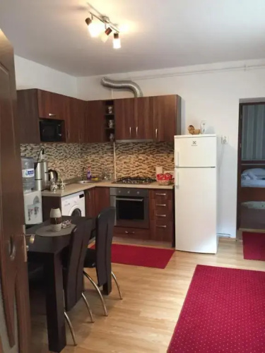Xenopol Central Apartment