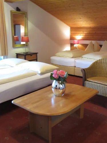 Economy Apartment