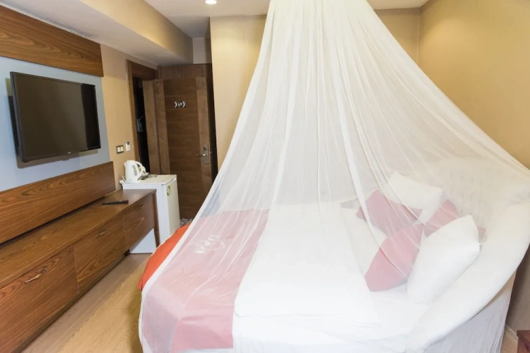 Standard Double room with balcony and with mountain view