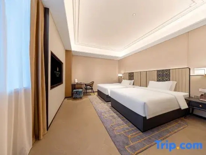 Standard Double room with city view