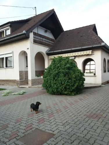 Vincze Vendégház