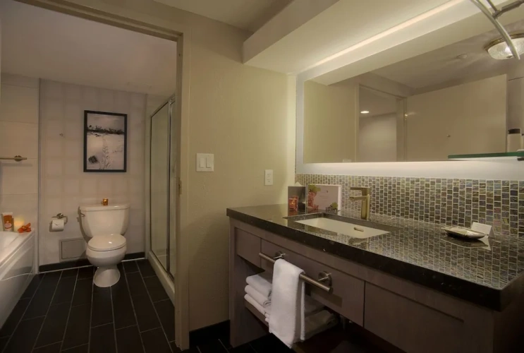 Deluxe with Jetted Tub Double room