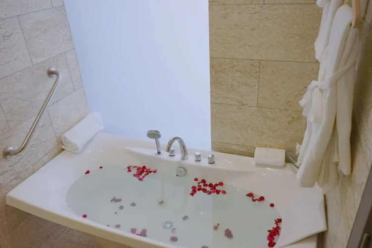 Deluxe room with balcony and with river view