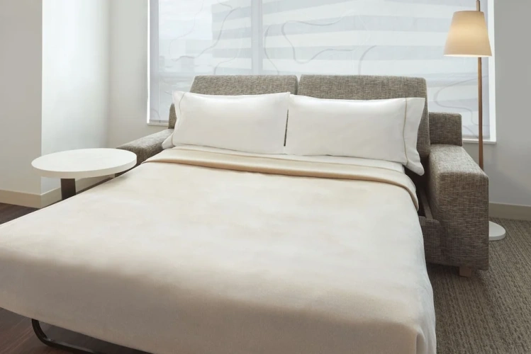 1 Bedroom Suite