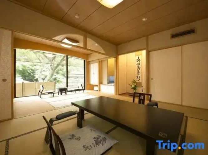Standard room with river view