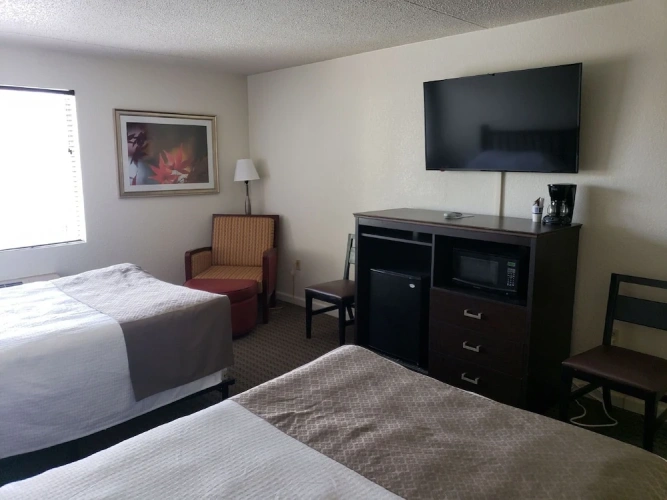Comfort Quadruple Studio with pool view