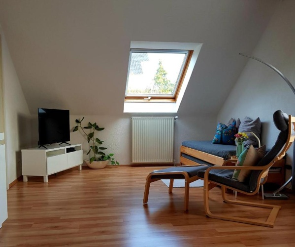 1 Bedroom Double Apartment