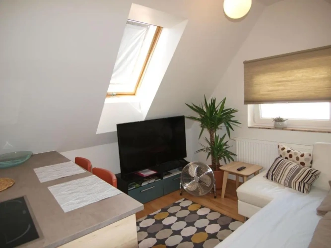 Double Studio with garden view