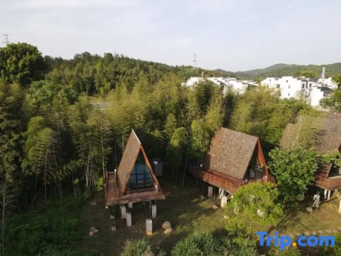 Tree Frog Resort Hotel