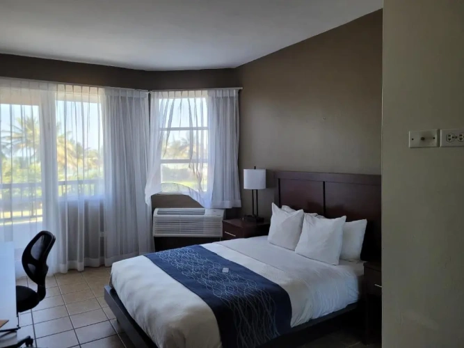 Standard Double room with ocean view