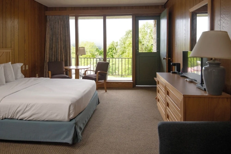 Standard Double room with balcony and with lake view