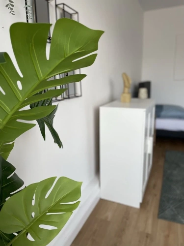 Comfort Apartment with balcony