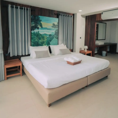 Classic Single room with balcony and with mountain view