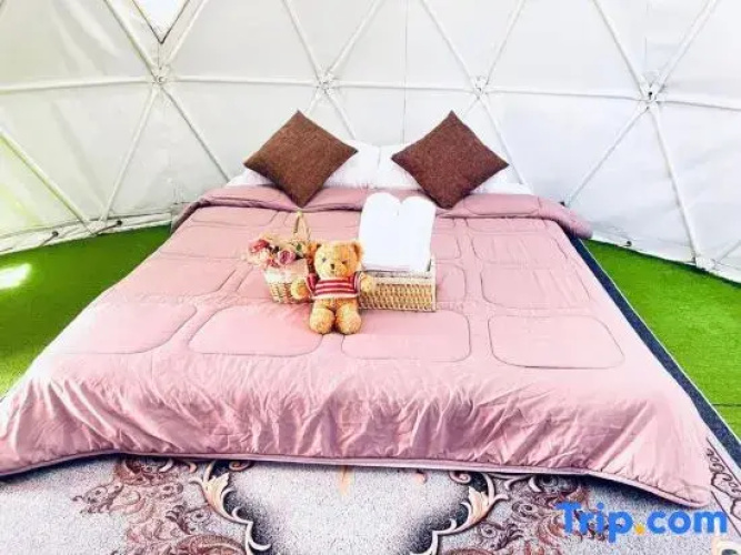 Phuchifa Sky Camp