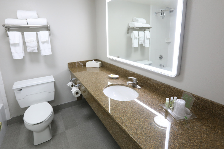 Holiday Inn Chicago Ohare Area photo 10