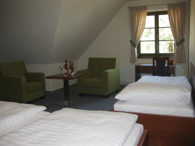 Hotel SKANZEN