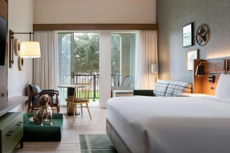 Sol Cypress, San Antonio, A Tribute Portfolio Hotel photo 8