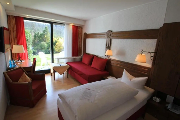Deluxe Single room